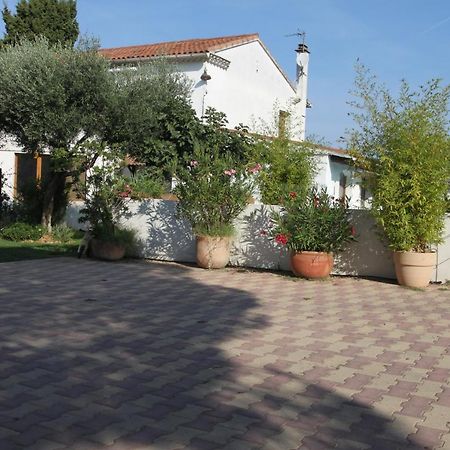 Site Machambreencamargue 沃韦尔 外观 照片