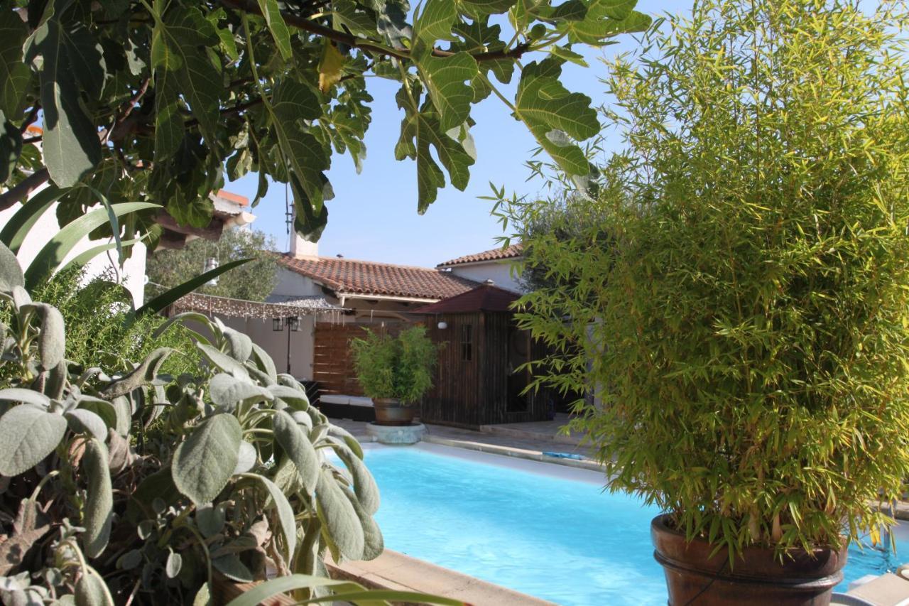 Site Machambreencamargue 沃韦尔 外观 照片